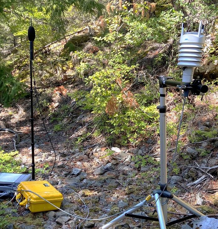 Project Sound Assessment Ross Lake.jpg