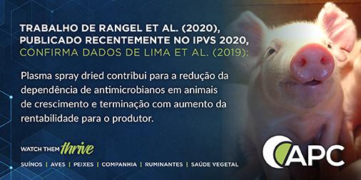 Plasma spray dried reduz dependência de antibióticos em dietas de suíno - Image 1