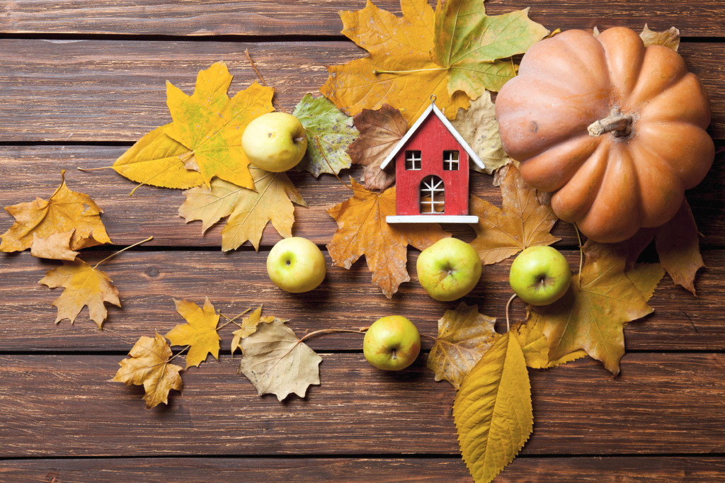 FallTime-01.jpg