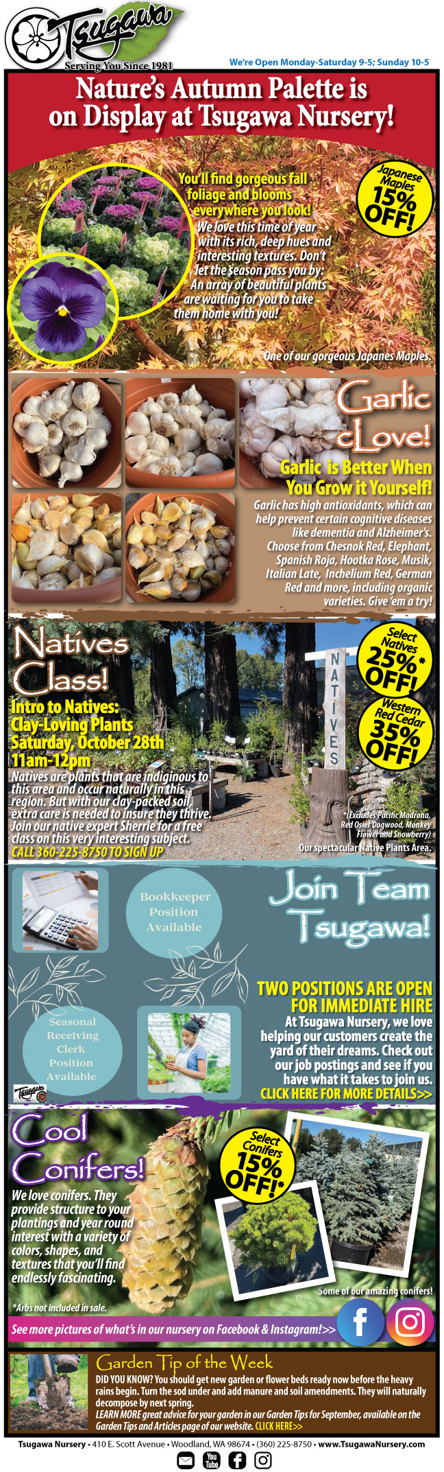 Nature's Autumn Palette is on Display at Tsugawa Nursery!