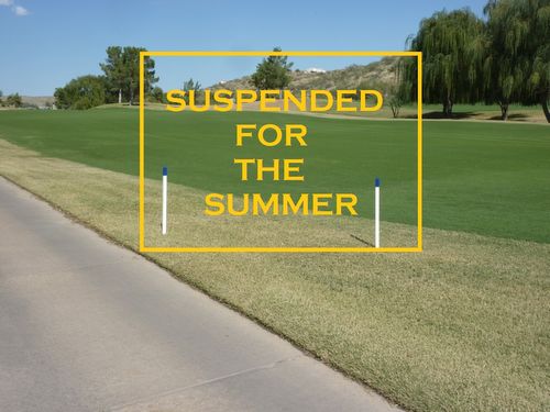 News From the Fairways