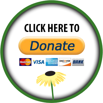 donatebuttonforfooter.png