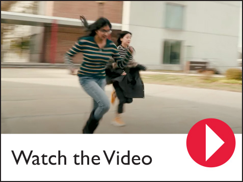 watch the video graphic