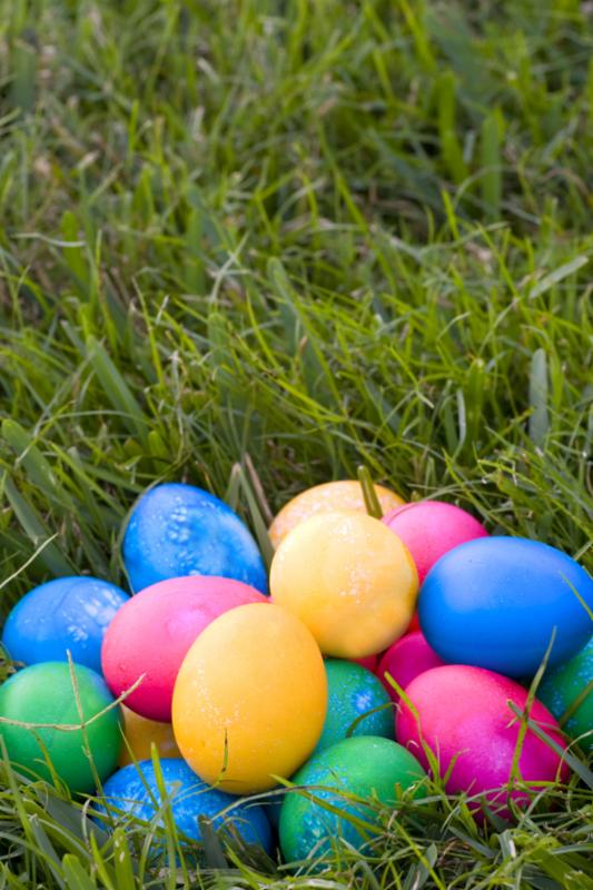 eggs_on_grass.jpg