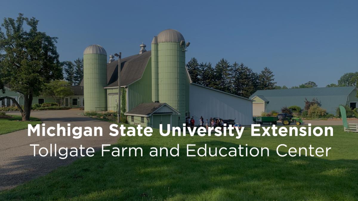 Camp job openings Tollgate Farm and Education Center