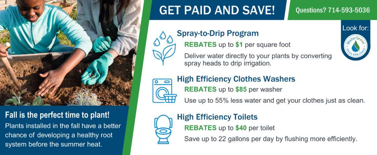 Get Paid and Save flyer