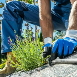 Man installing sprinkler