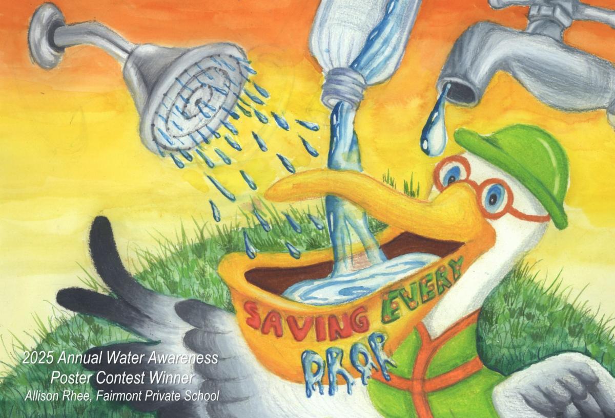 Poster of a pelican saying Save every drop.