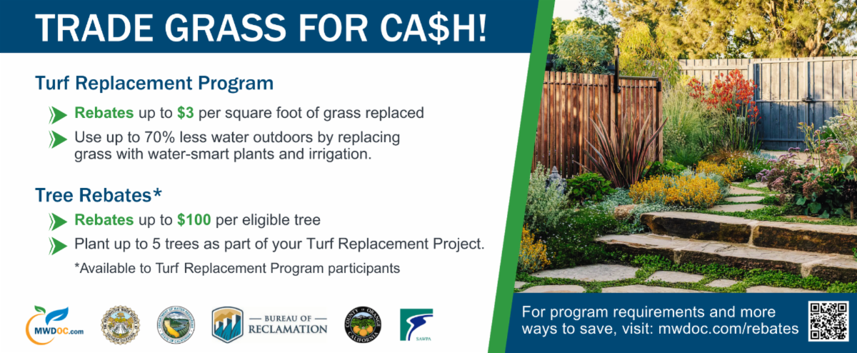 Trade Grass for Cash