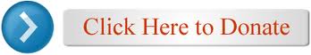 Donate Button