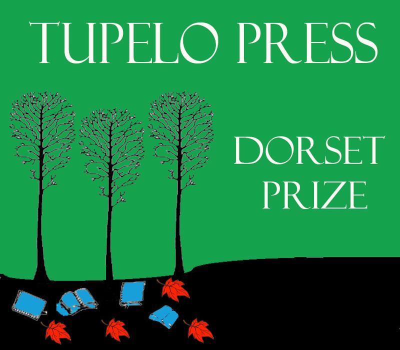 Dorset new logo