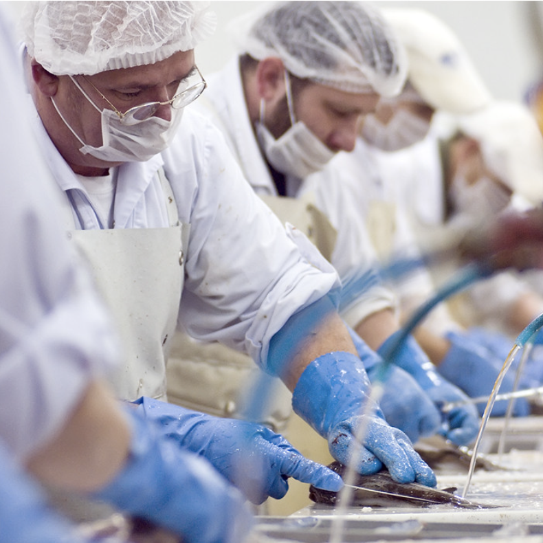 Meat cutters