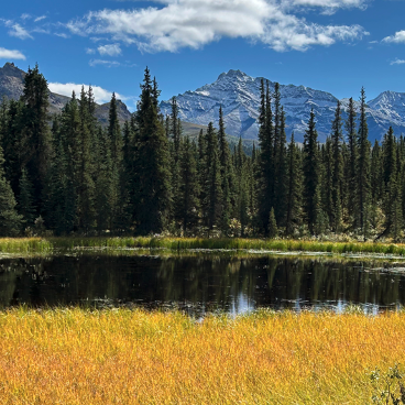 mountains and pond