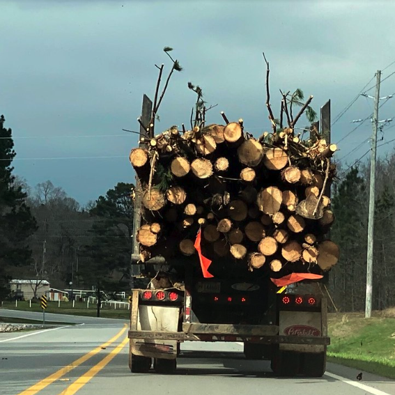Log truck