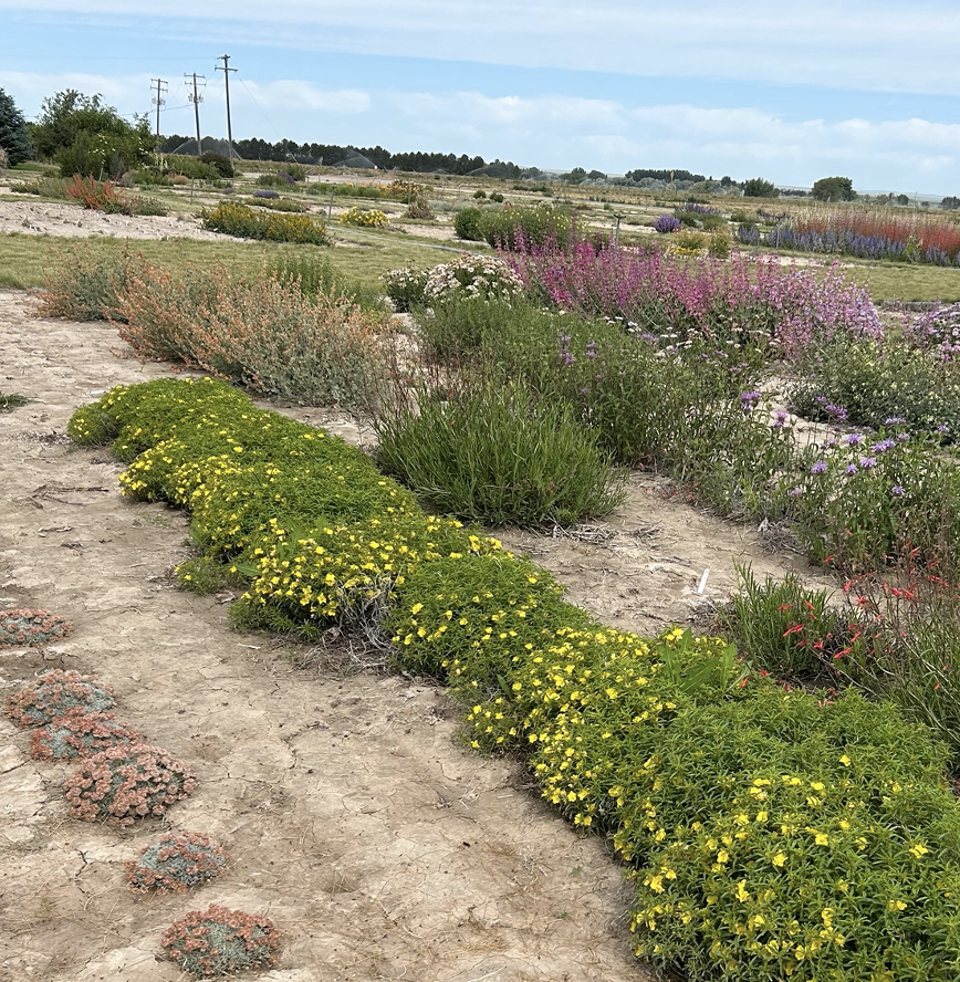 Trial garden