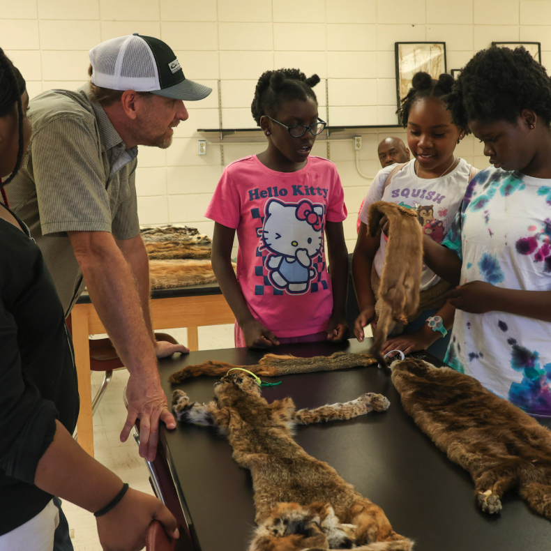 Childen looking at pelts