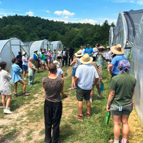 Farmers tour organic farm operation