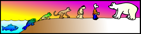 EVOLUTION