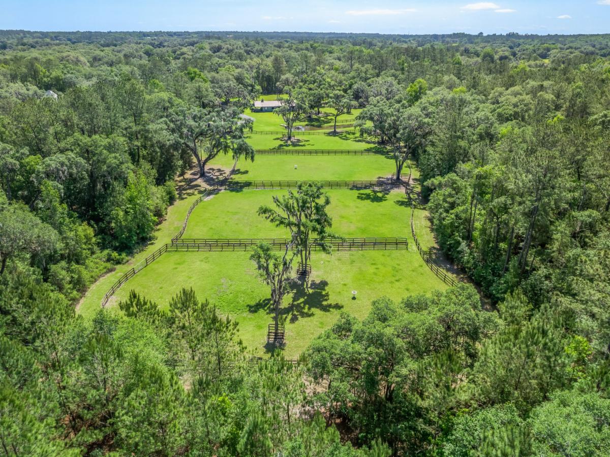 A must see! Stunning 15.37 Acre Equestrian Facility in Reddick, just a(01)