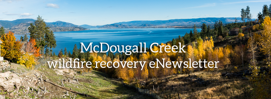 McDougall Creek wildfire recovery news | Central Okanagan West