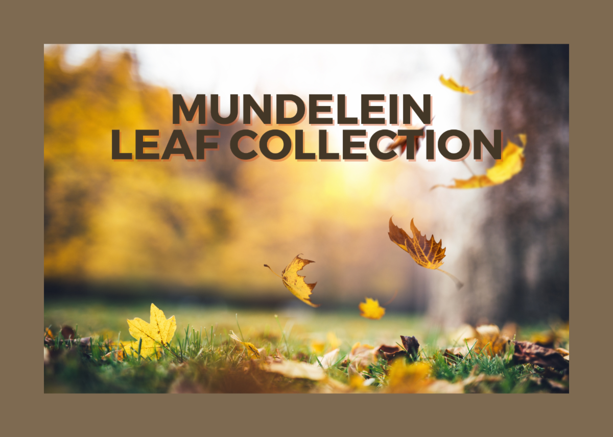 Mundelein ENewsletter 11112022