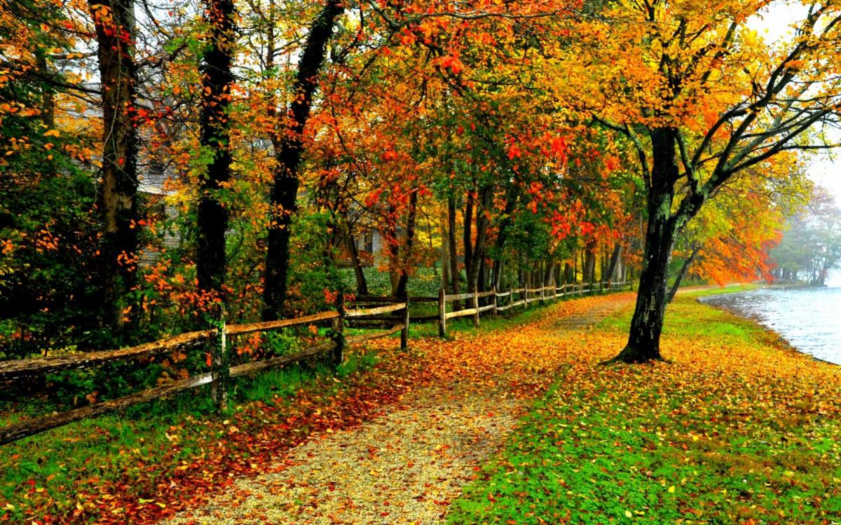 Photograph showing a leaf-covered walking path winding through a colorful autumn forest beside a calm lake. Orange, red, and yellow foliage, green grass, rustic wooden fence, and reflective water create a peaceful seasonal landscape.