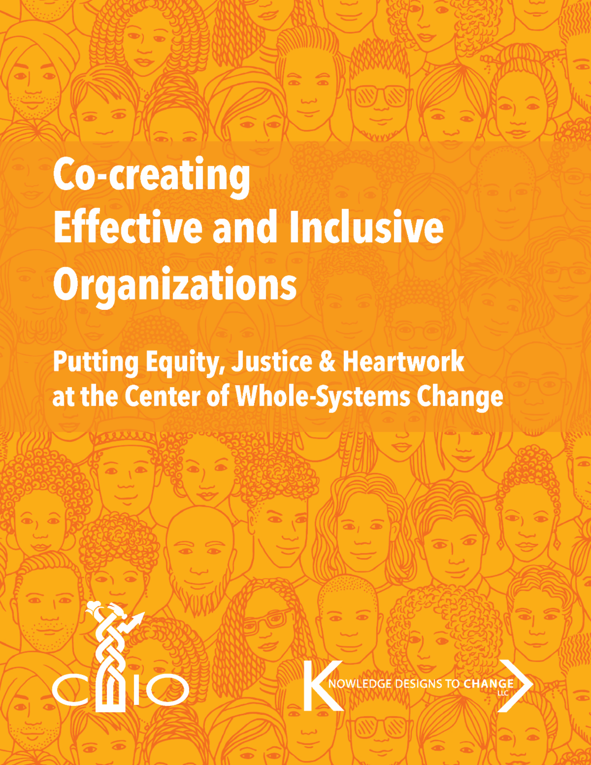 Co-creating Effective and Inclusive Organizations