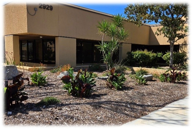 After photo showing mulch and flowering plants in planter in front of City Hall.