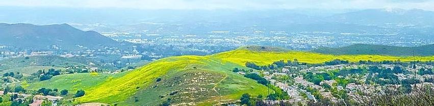 Landscape photo of Simi Valley mountains covered with bright yellow blooming mustard seed flowerslangdcape