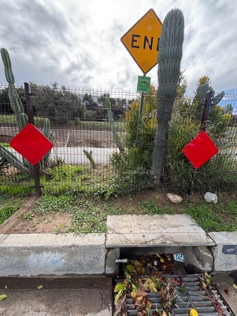 storm drain with debris and plant life clogging the drain grate 