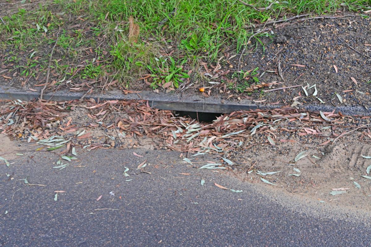 leaves and dirt in street gutter and blocking storm drain