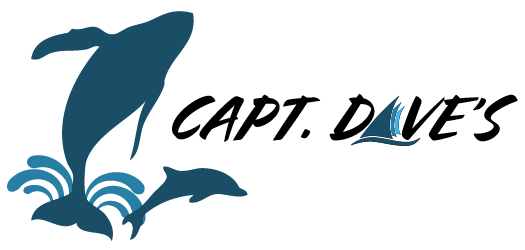 Capt. Dave's Logo
