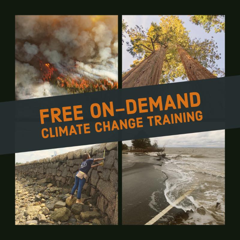 February 2019 Update: Climate Change Response Program