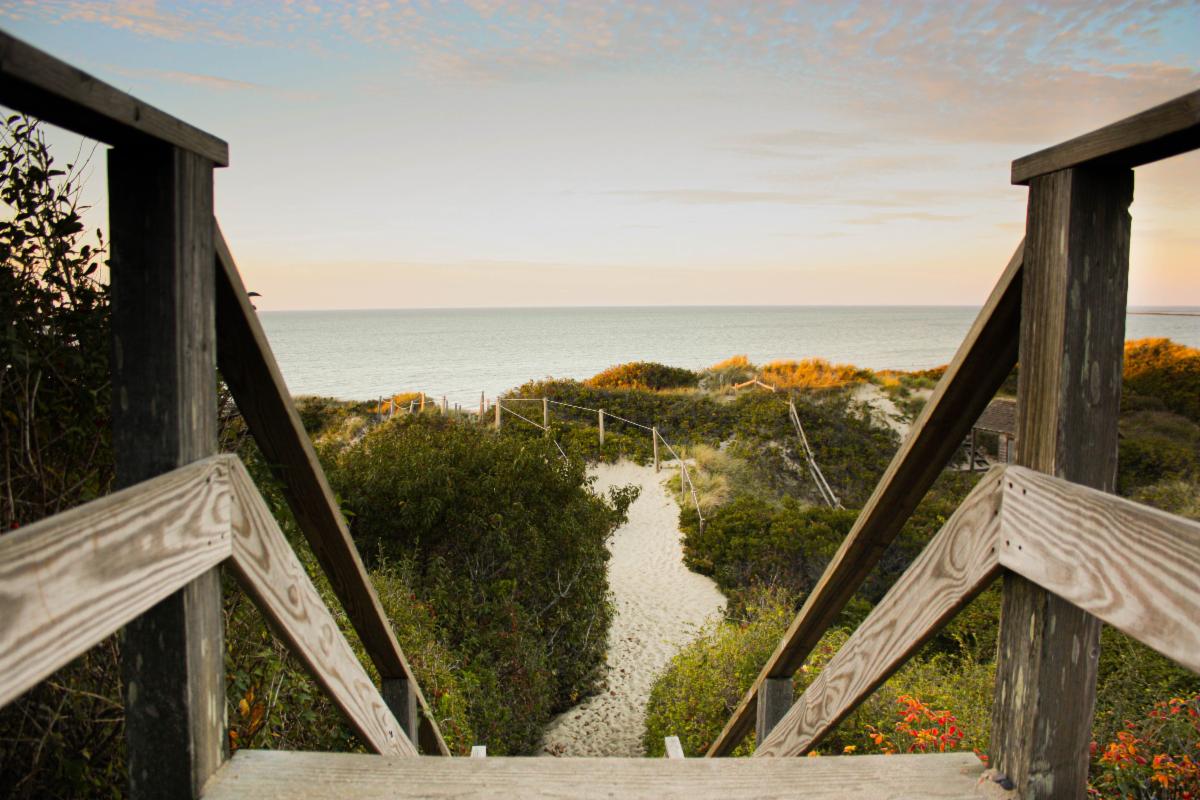 Slow roll onto the beach wave copy.jpg