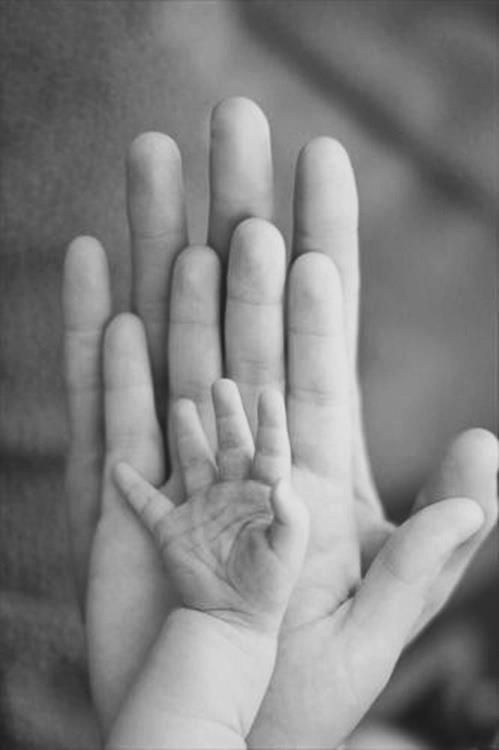 A-Safe-Haven-for-Newborns-hands