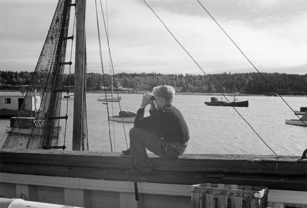 Crosby Greening Mills Looking at Southwest Harbor