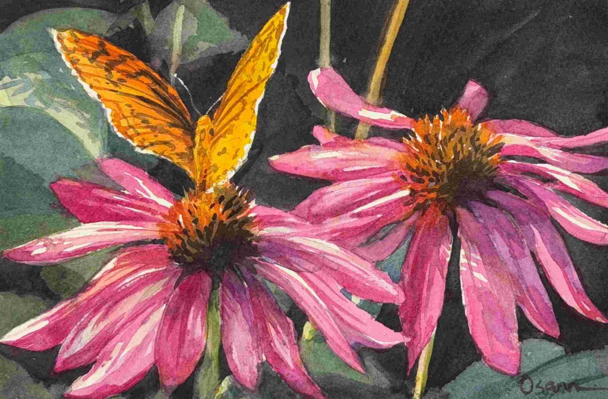 Painted Lady - Rick Osann