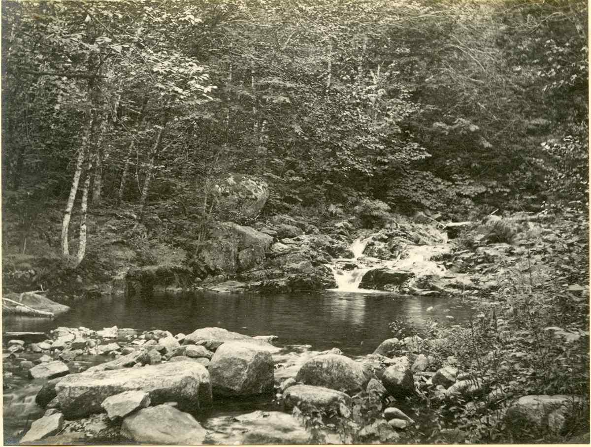 Acadia National Park - Before Park Creation in 1916 - Duck Brook - 8079