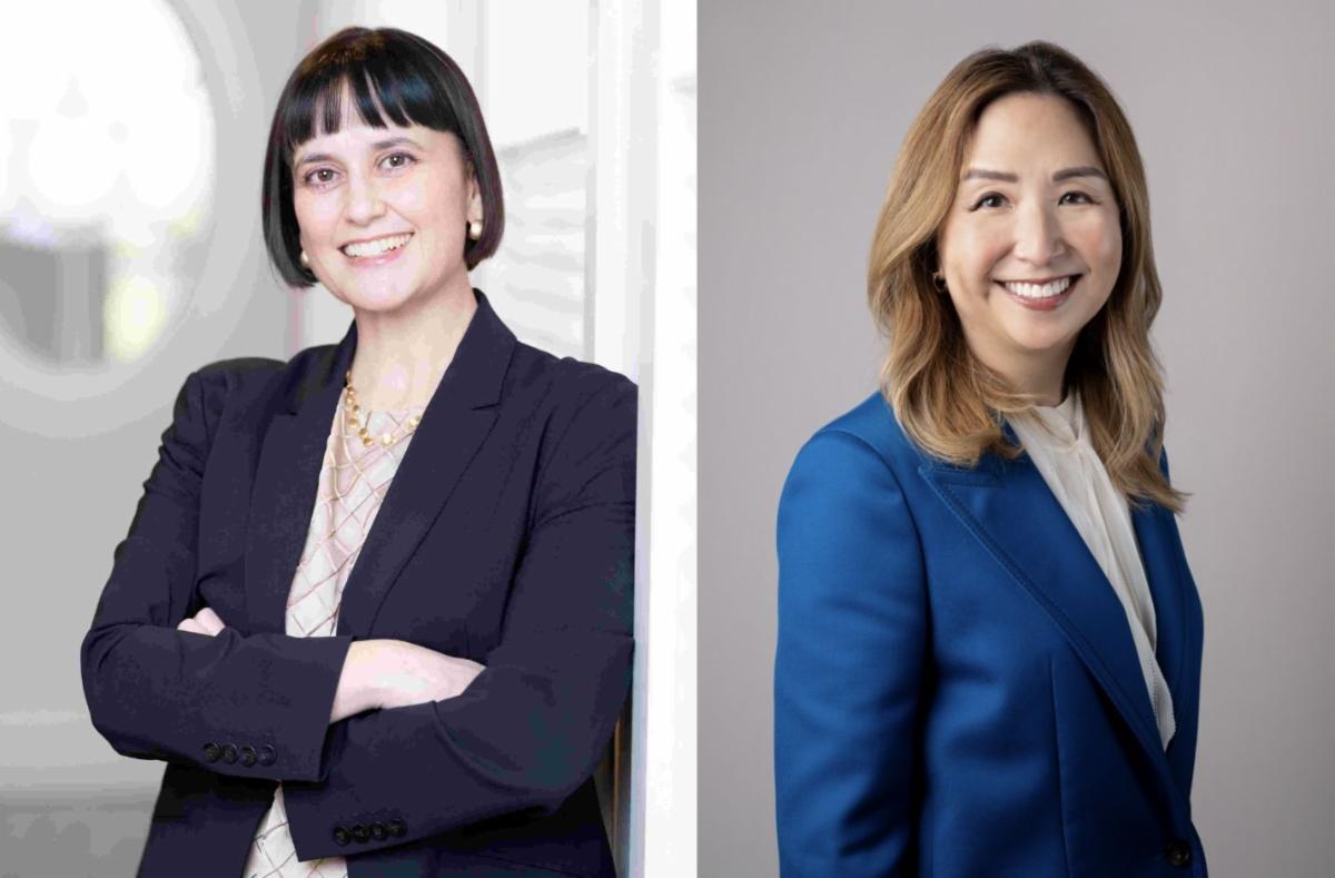 Cristina M. Rodriguez and Jeannie Rhee