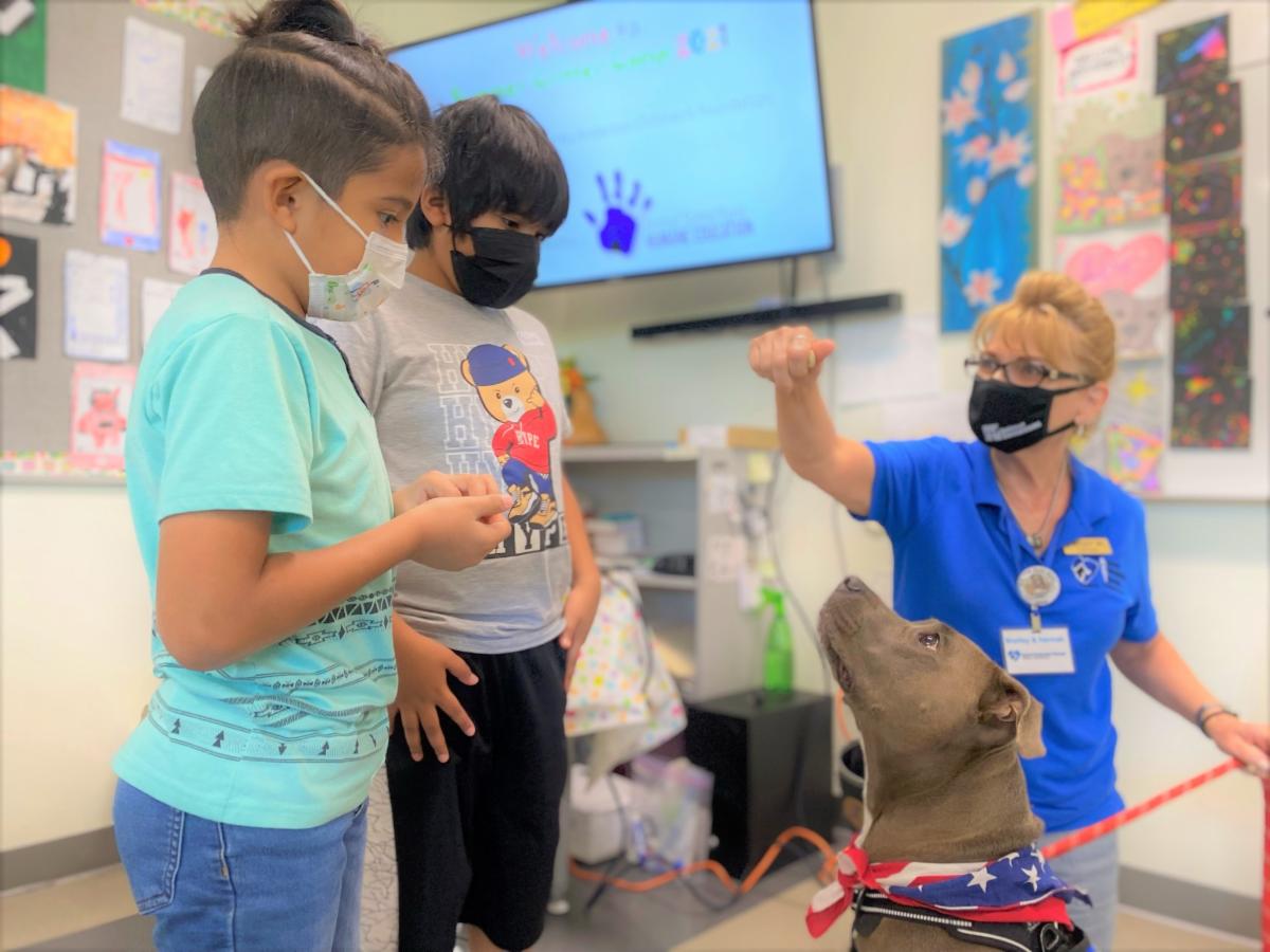 Volunteer Newsletter