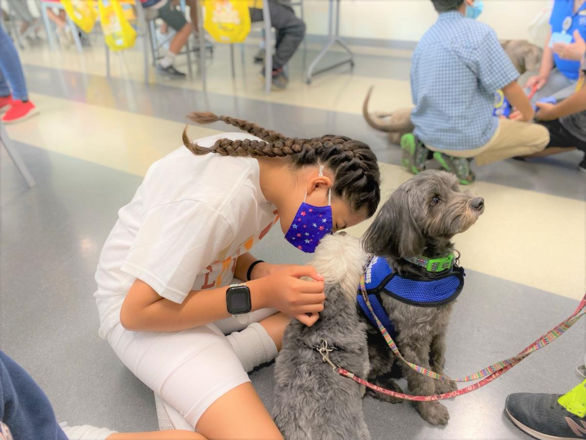 Volunteer Newsletter