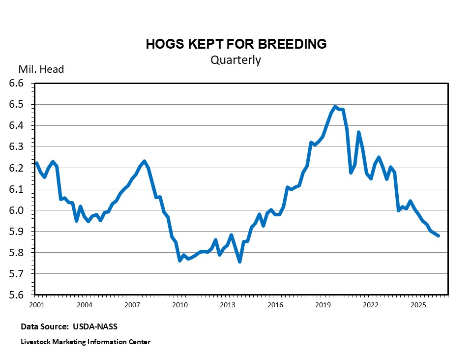 Hogs Kept for Breeding