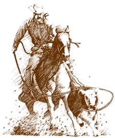 LMIC Cowboy