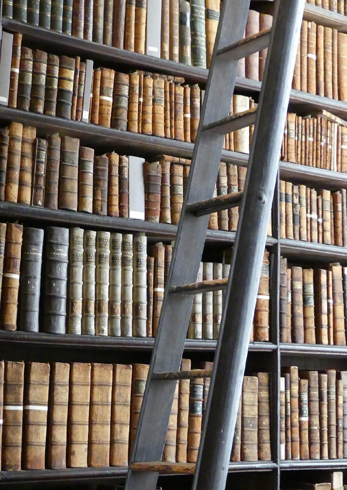 Bookshelves and ladder