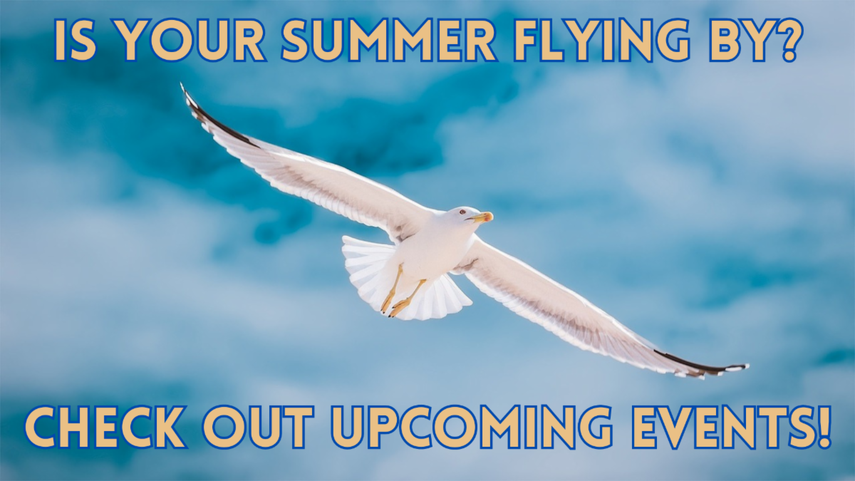 Photo with seagull flying with blue and yellow text that reads is your summer flying by check out upcoming events