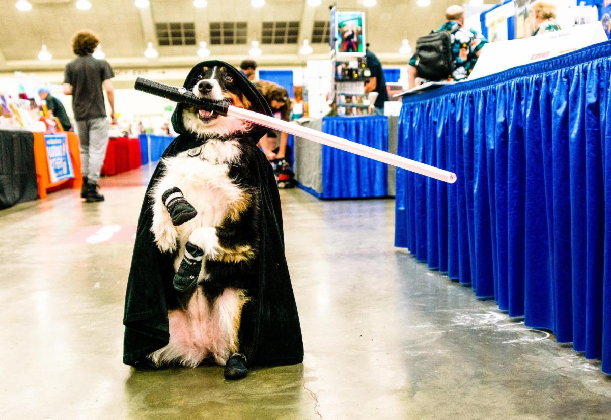 Cosplay Dog Sydney 2023