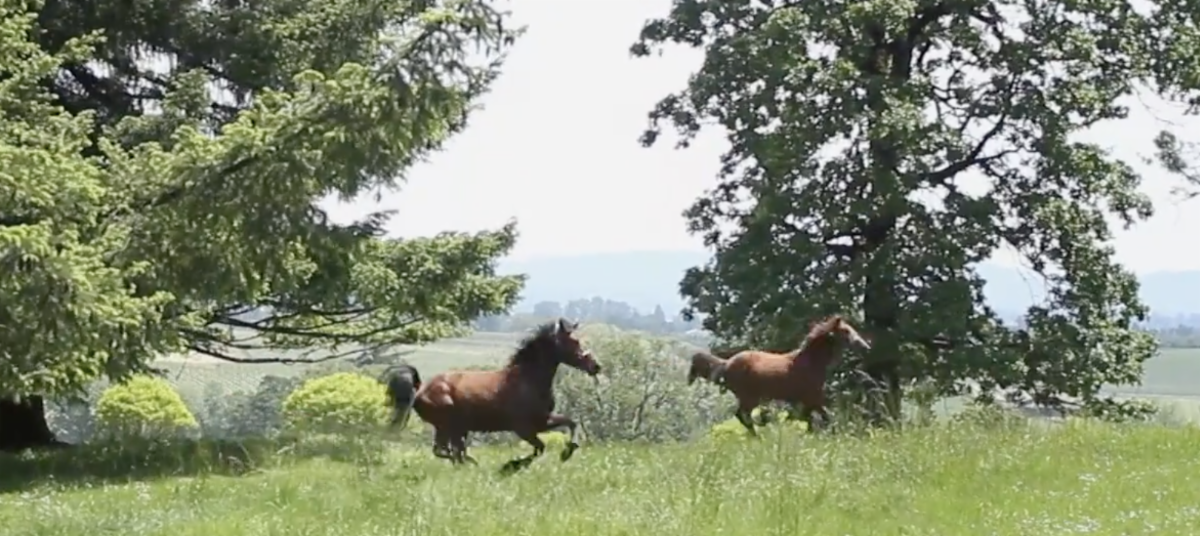 New Programs, Awards, and a Special Film Event