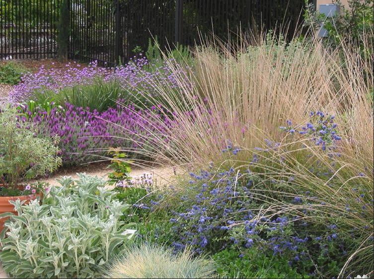 Photo of a beautiful drought tolerant garden.