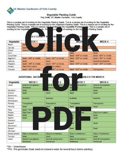 PDF image to click to go to Peg's monthly vegetable planting guide.