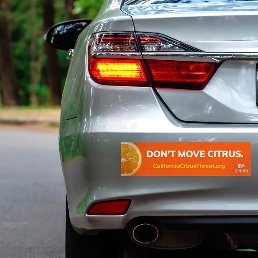 Orange bumper sticker on a car that says Don't Move Citrus. CaliforniaCitrusThreat.org - CPDPD